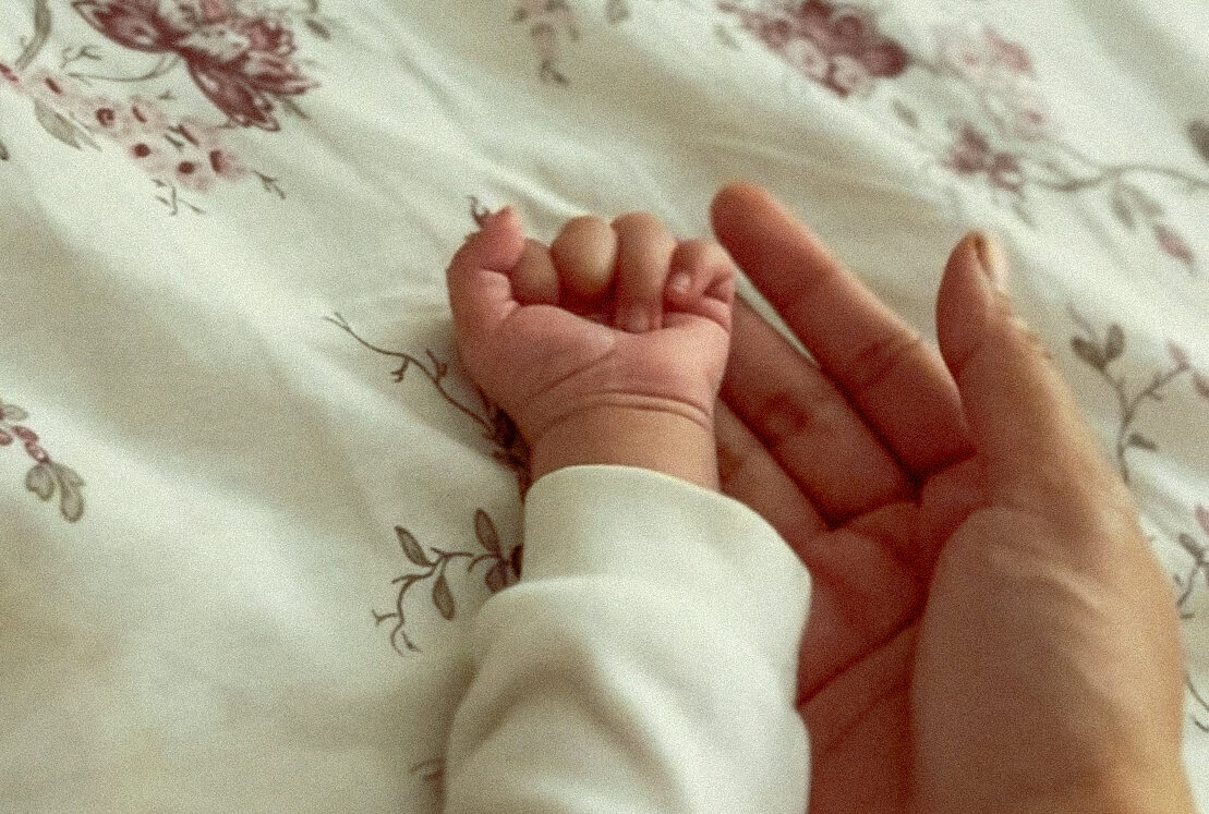 IMG_1240 2 IMG_1240 2