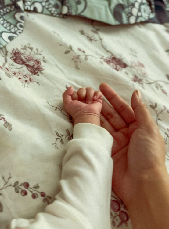 IMG_1240 2 IMG_1240 2