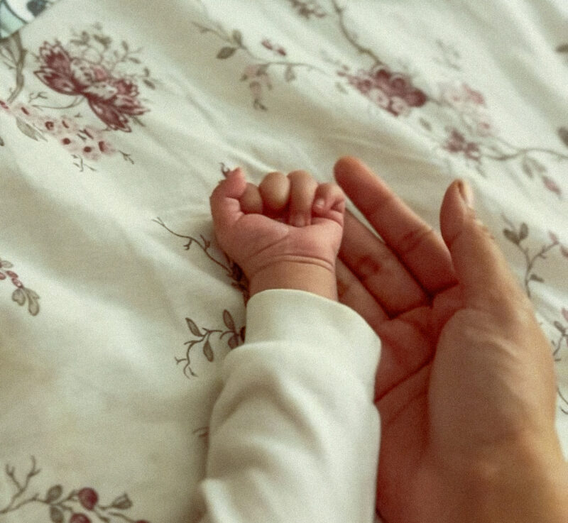 IMG_1240 2 IMG_1240 2