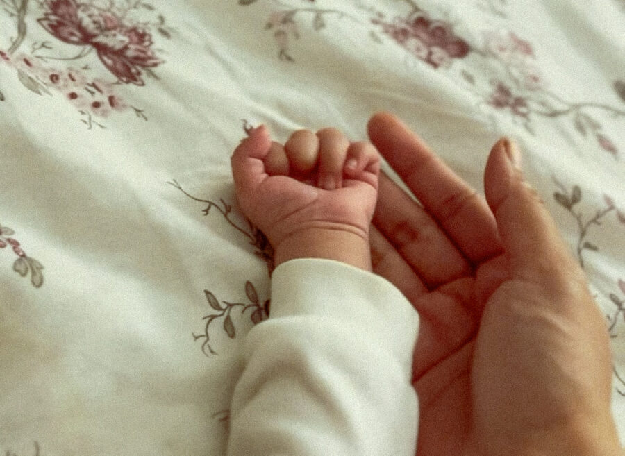 IMG_1240 2 IMG_1240 2