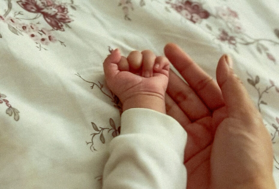 IMG_1240 2 IMG_1240 2